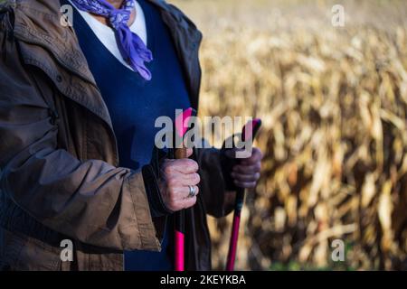 Le mani della donna anziana tengono bastoni da nordic walking Foto Stock
