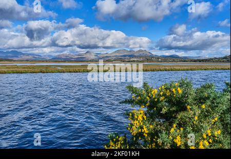 Guardando verso Cnicht e Moel-yr-hydd dal COB, Porthmadog, Gwynedd, Snowdonia, Galles Foto Stock