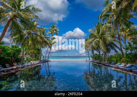 Piscina di lusso nell'hotel tropicale o resort. Palme e piscina infinity vicino a sdraio e ombrelloni. Destinazione di viaggio esotica Foto Stock