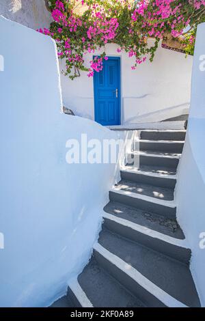 Vecchia porta blu e fiori rosa, tradizionale architettura greca, isola di Santorini, Grecia. Bellissimi dettagli dell'isola di Santorini, Egeo Foto Stock