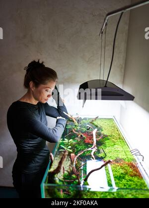 Una bella donna si trova nei pensieri appoggiando le mani sull'acquario aquascape e guardando dentro Foto Stock