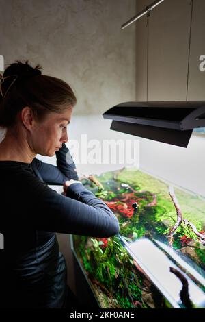 Una bella donna si trova nei pensieri appoggiando le mani sull'acquario aquascape e guardando dentro Foto Stock