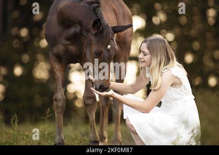 Donna e nemico austriaco di warmblood Foto Stock