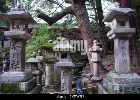 Una vista delle lanterne di pietra a Nara, Giappone Foto Stock