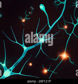 Vista microscopica delle sinapsi. Connessioni cerebrali. Neuroni e sinapsi. Comunicazione e stimolo cerebrale. Circuito di rete neurale degenerativo Foto Stock