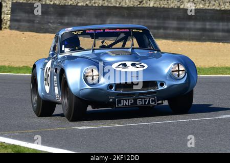 Mike Whitaker, TVR Griffith, Gentlemen Drivers Pre-66 GT Cars, una gara di novanta minuti a due piloti con vetture GT, molte delle quali avrebbero gareggiato Foto Stock