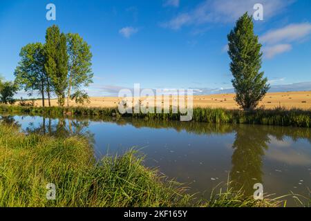 Paesaggio di un piccolo fiume e campi in provincia di navarra. Nord della Spagna Foto Stock