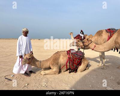 Gruppo di Camel a piedi nel mare interno. Spiaggia linea del mare Qatar Foto Stock