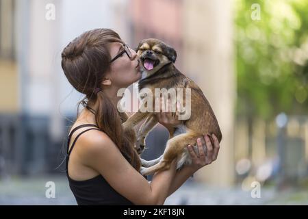 Donna con Chihuahua-Pekinese-Mongrel Foto Stock