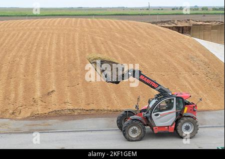 SERBIA, impianto di biogas , stoccaggio di insilato di mais / SERBIEN, Svetozar Miletic bei Sombor, Agrarbetrieb Agro Plus Energy mit einer Biogasanlage des österreichischen Herstellers Biogest, Maissilage für Vergärung Foto Stock