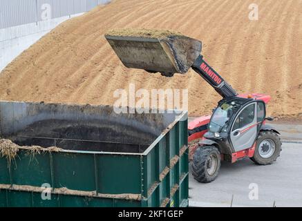 SERBIA, impianto di biogas , stoccaggio di insilato di mais / SERBIEN, Svetozar Miletic bei Sombor, Agrarbetrieb Agro Plus Energy mit einer Biogasanlage des österreichischen Herstellers Biogest, Maissilage für Vergärung Foto Stock