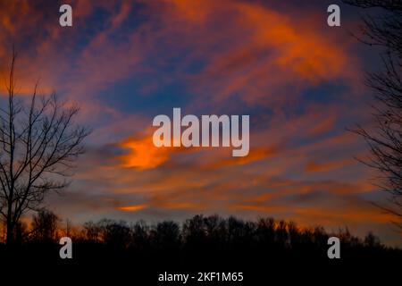 Paesaggio di un bellissimo tramonto sugli alberi nel Michigan settentrionale nel mese di novembre Foto Stock