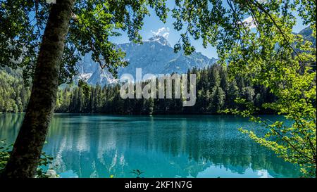 Lago Fusine con la cima del Mangart sullo sfondo, Alpi Giulie, Italia Foto Stock