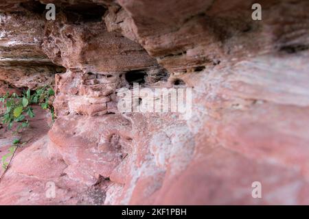 Primo piano di una nicchia in una scogliera di arenaria Foto Stock