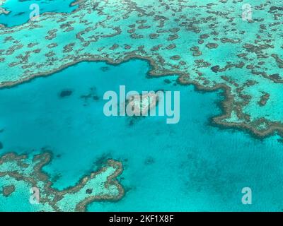 Una vista aerea di una barriera corallina a forma di cuore nelle Isole Whitsunday, Australia Foto Stock