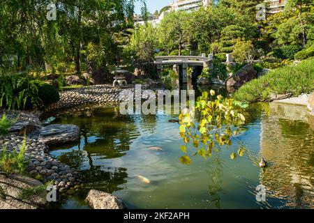 Splendida vista in giardino giapponese a Monaco con laghetto, ponte in pietra anв rive in pietra. Acqua, piante - riflessi in acqua, carpe KOI e duc Foto Stock