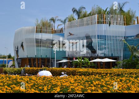 Milano, Italia - 29 giugno 2015: Vista panoramica della facciata del padiglione Colombia all'Expo Milano 2015 dal grande prato francese giallo marigolds. Foto Stock