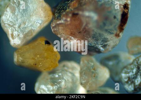 Il mondo microscopico. Grani di sabbia di mare. Foto Stock