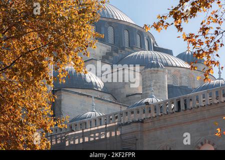 Dettaglio in primo piano delle cupole della Blue Mosue (Sultan Ahmed Camii) nel quartiere turistico di Sultanahmet, incorniciato dal fogliame autium e dalle foglie di A. Foto Stock