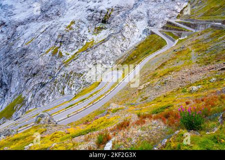 Serpentine della strada alpina fino al Passo dello Stelvio, italiano: Passo dello Stelvio, Alto Adige, Alpi italiane, Italia Foto Stock