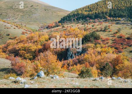 Coloratissimo fogliame autunnale in campo Imperatore Foto Stock