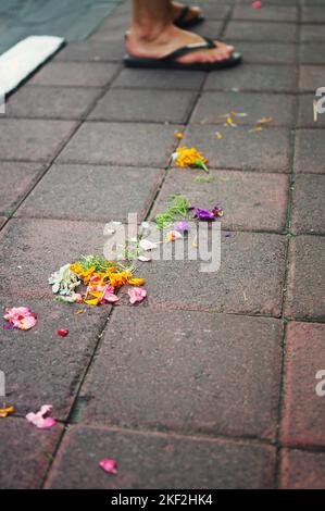 Colorati petali di fiori dalle offerte indù sparsi attraverso il marciapiede a Seminyak - Bali, Indonesia Foto Stock