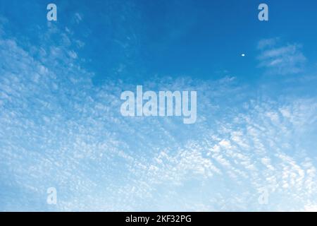 Mezza luna in cielo di giorno con nuvole wisy atmosfera ambiente. Naturale luna e cielo sfondo texture, la forma libera bellezza di nuvole e cielo Foto Stock