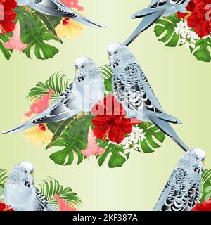 Texture senza cuciture budgerigars casa animali domestici blu parakeet su un bouquet con fiori tropicali hibiscus, palma, filodendro e Brugmansia vintage v Illustrazione Vettoriale