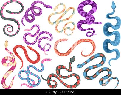 Serpenti mistici. Tatuaggio serpente velenoso, serpente velenoso con motivo magico sulla pelle e pericolo animali selvatici vettore set Illustrazione Vettoriale