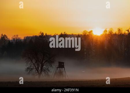 Lichtstimmung im Selketal Sonnenaufgang im Nebel Foto Stock