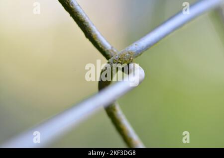 Dettaglio del filo della rete reticolare a maglie a catena Foto Stock