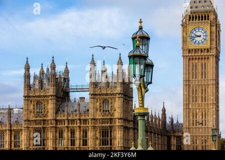 Uccelli che volano di fronte al Palazzo di Westminster e al Big ben a Londra, Inghilterra (Regno Unito) in una chiara giornata di sole Foto Stock