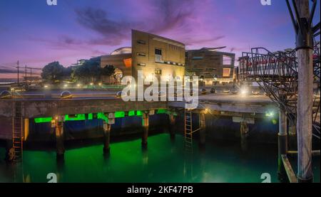 Te Papa Museum Wellington Nuova Zelanda. Foto Stock