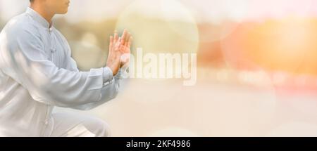 Allenamento asiatico con il Tai Chi al mattino al parco, arti marziali cinesi, cura sana per il concetto di vita sana. Foto Stock