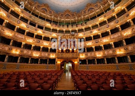 Innenansicht, Teatro, Teatro la Fenice, Venedig, Venetien, Italien Foto Stock