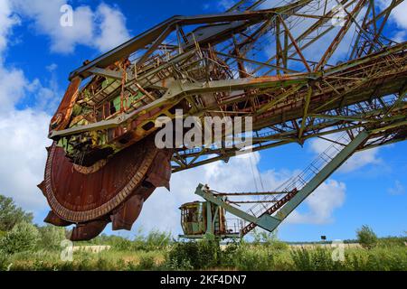 Ausleger mit Förderband und riesigem Schaufelrad, Bagger, Schaufelradbagger 1473 SRS 1500, 258, Blaues Wunder, Industriedenkmal, Lost Place, Schipkau Foto Stock