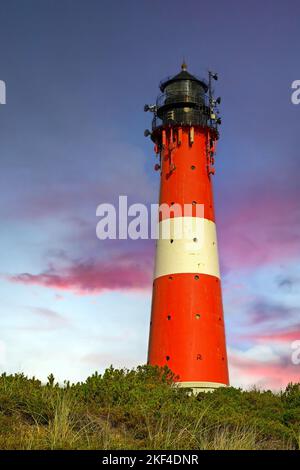 Leuchtturm von Hörnum am frühen Morgen, Sylt, Nordfriesische Inseln, Nordfriesland, Schleswig-Holstein, Germania Foto Stock