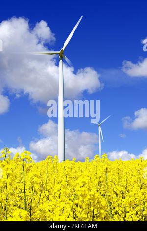 Windkraftanlagen in einem Rapsfeld Foto Stock
