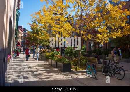 Ithaca, NY, USA - 24 ottobre 2022: Il centro di Ithaca Commons, visto qui durante la stagione autunnale, è una casa a quattro isolati, pedonale-solo sede di un negozio unico Foto Stock