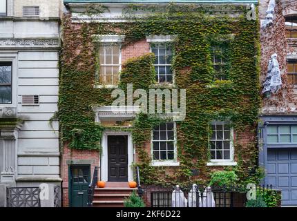 Vecchi edifici ricoperti di vite a Lower Manhattan, costruiti all'inizio del 1800s Foto Stock