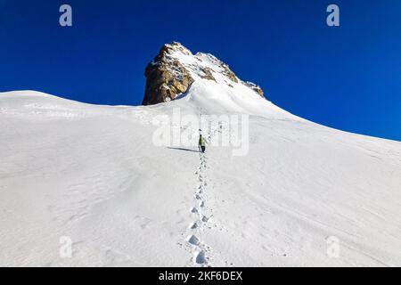 Descrizione: Escursionismo entusiasta alpinista su enorme campo di neve su Jungfrau. Jungfrau-Höhenweg, Alpi Bernesi, Svizzera, Europa. Foto Stock