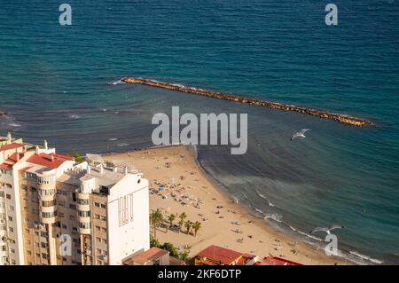 Un colpo d'aria di gabbiani che si innalzano sopra la riva vicino agli edifici del resort Foto Stock