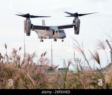 Amami, Giappone. 16th Nov 2022. Marines' degli Stati Uniti MV-22 Osprey è visto decollo durante l'esercizio militare congiunto di Stati Uniti e Giappone 'spasca appassionata 23' a Camp Amami nell'Isola di Amami Oshima, nella Prefettura di Kagoshima, Giappone Mercoledì, 16 Novembre 2022. Foto di Keizo Mori/UPI Credit: UPI/Alamy Live News Foto Stock