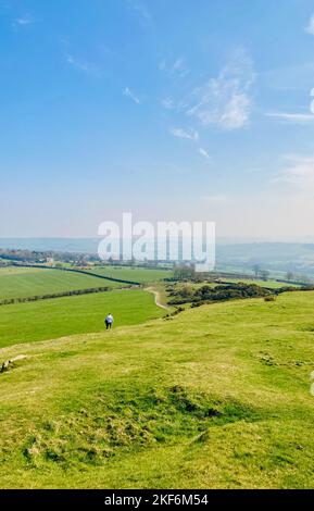 Ritratto o ripresa verticale di un uomo che cammina in lontananza nella campagna del North Yorkshire Foto Stock