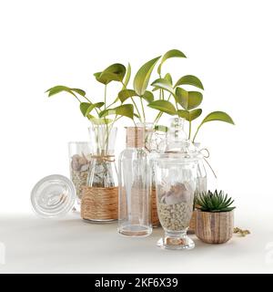 I realistici vasi in vetro 3D con piante isolate su sfondo bianco verticale. Foto Stock