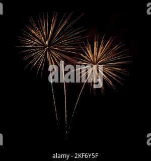 Due grandi fuochi d'artificio esplodenti e una striscia di un terzo, isolato su un cielo nero, durante una mostra di festa. Foto Stock