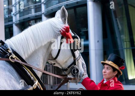 Sposo femminile con cavallo alla sfilata del Lord Mayor's Show nella City of London, Regno Unito. Attraente sposo ragazza che presta attenzione al cavallo Foto Stock