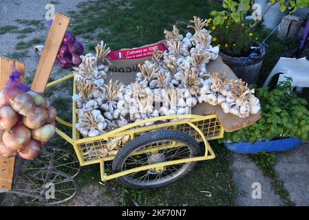 Chiodi di garofano in vendita; esposizione o esposizione su Old Bicycle Trailer Provence France Foto Stock