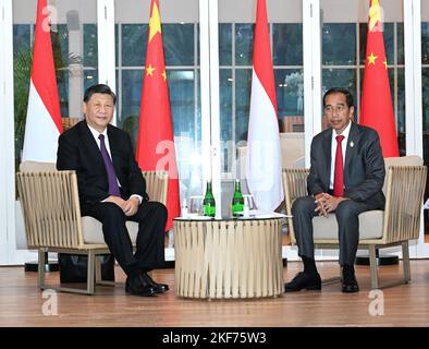 Bali, Indonesia. 16th Nov 2022. Il presidente cinese Xi Jinping tiene colloqui con il presidente indonesiano Joko Widodo a Bali, Indonesia, 16 novembre 2022. Credit: Rao Aimin/Xinhua/Alamy Live News Foto Stock