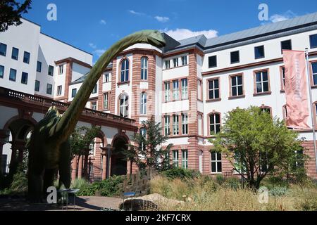 Un modello a grandezza naturale di un dinosauro di fronte al Senckenberg Museum di Francoforte, Germania Foto Stock